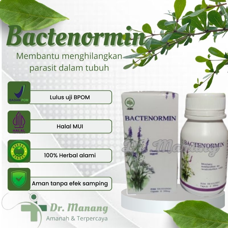 Bactenormin 100% Original Obat Parasit Asli Herbal Resmi Bpom