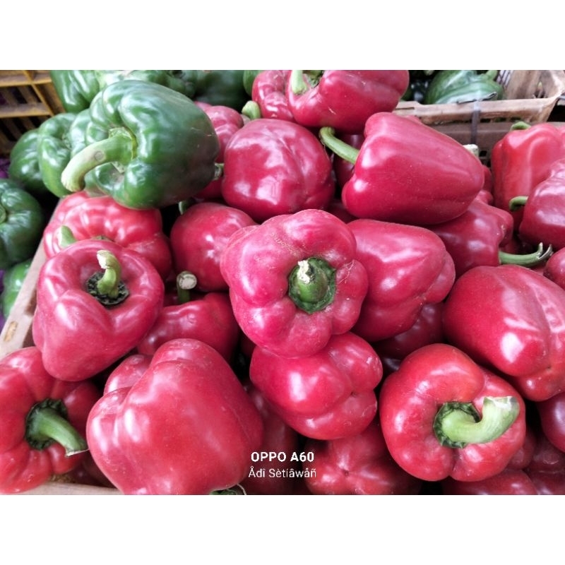 

Paprika Merah Fresh