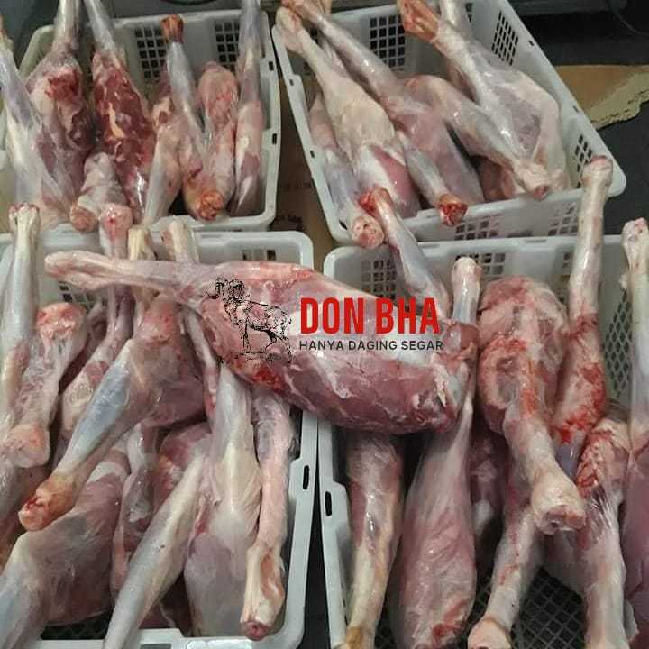 

Sampil Daging Kambing Potong Premium - Kualitas Terbaik