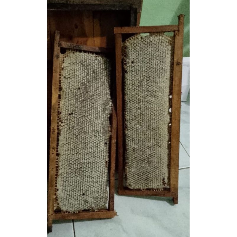 

sarang madu murni hutan pulau Sumatera 1 kg hitam Alami menyehatkan