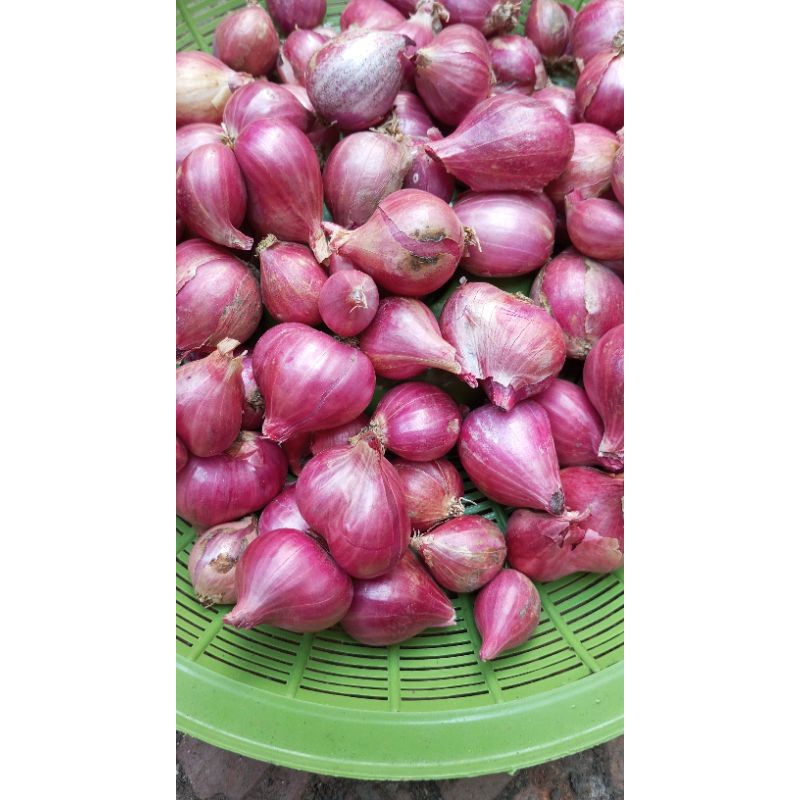 

bawang merah kering 1 kg free 300 gr