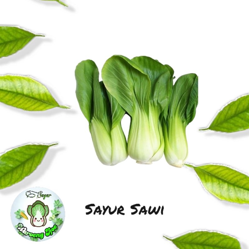 

Sayur Sawi Ijo Segar 1 ikat