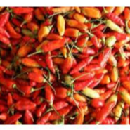 

CABE/CABAI RAWIT SEGAR BUMBU MASAK SIAP SAJI 100 GRAM