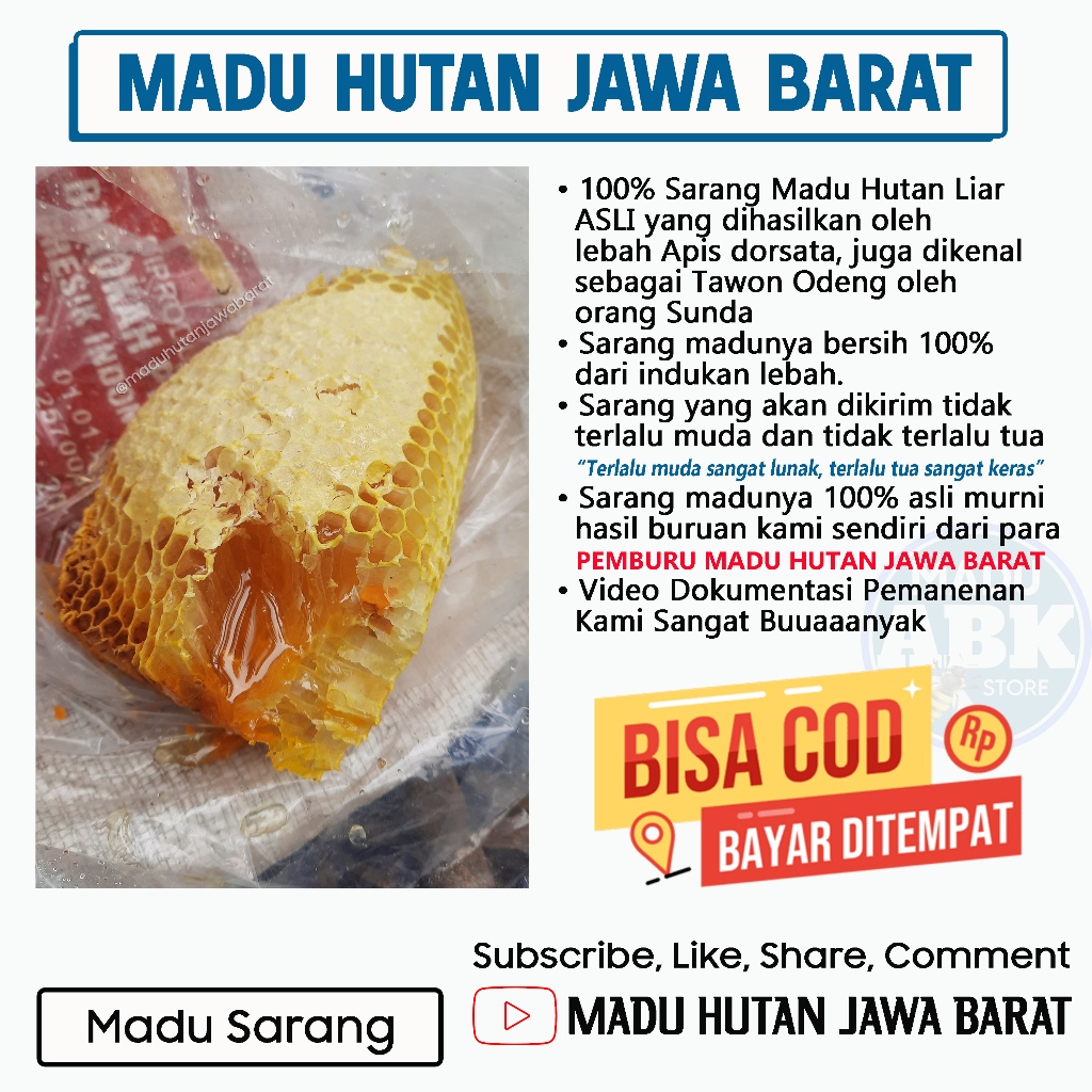 

Sarang Madu Hutan Liar Murni Asli dan Alami | Madu Hutan Jawa Barat | Madu ABK | Premium Quality