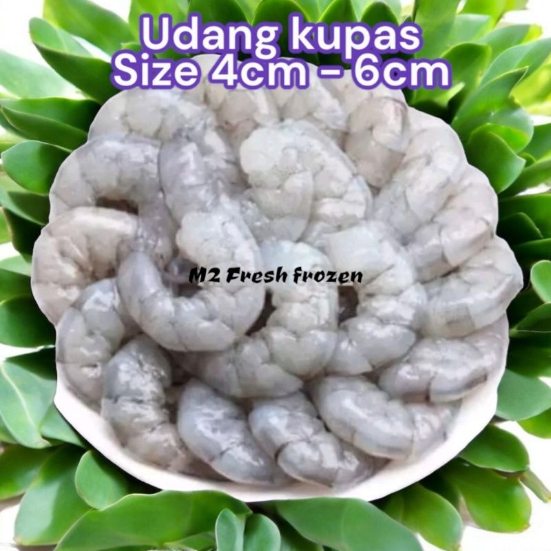 

Udang Kupas Premium 500 gr | size 4 - 6cm