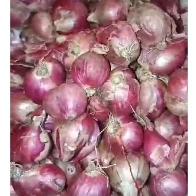 

Bawang merah 1kg