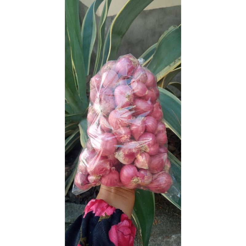 

Bawang merah (Brambang) garing super merah garing