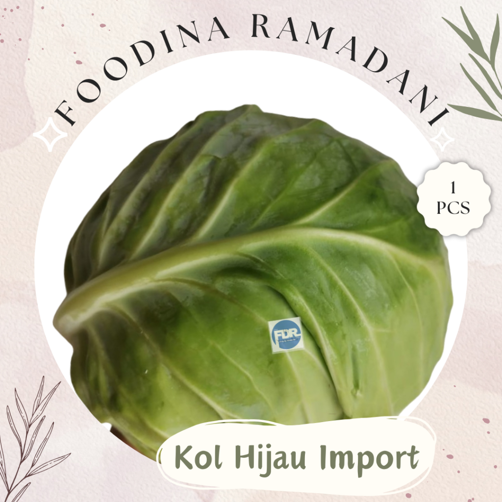 

KOL Hijau Import - Cabbage Fresh [ Size 1,5-2 Kg ] Harga Per PCS