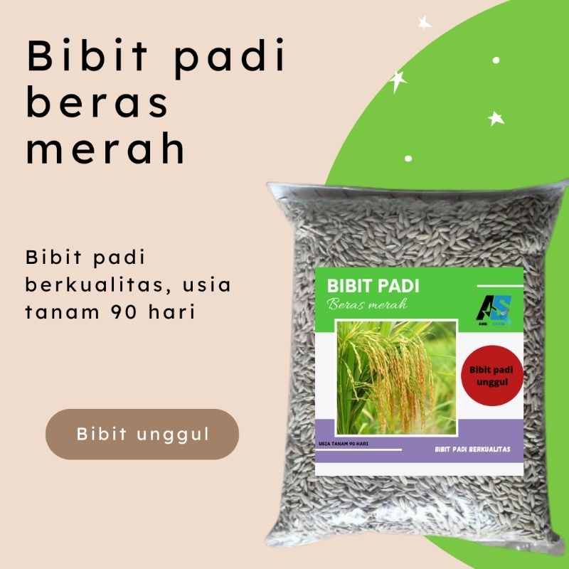 

BIBIT PADI BERAS MERAH SUPER UNGGUL KEMASAN 500grm