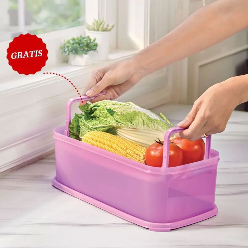 Modular Crisper Tupperware With Gift