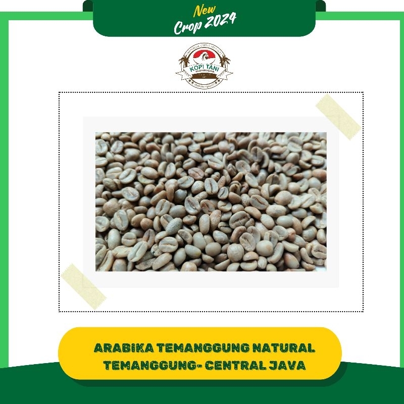 

Sunda Wangi | Green Beans Kopi Arabika Temanggung-1Kg (GRATIS ONGKIR)