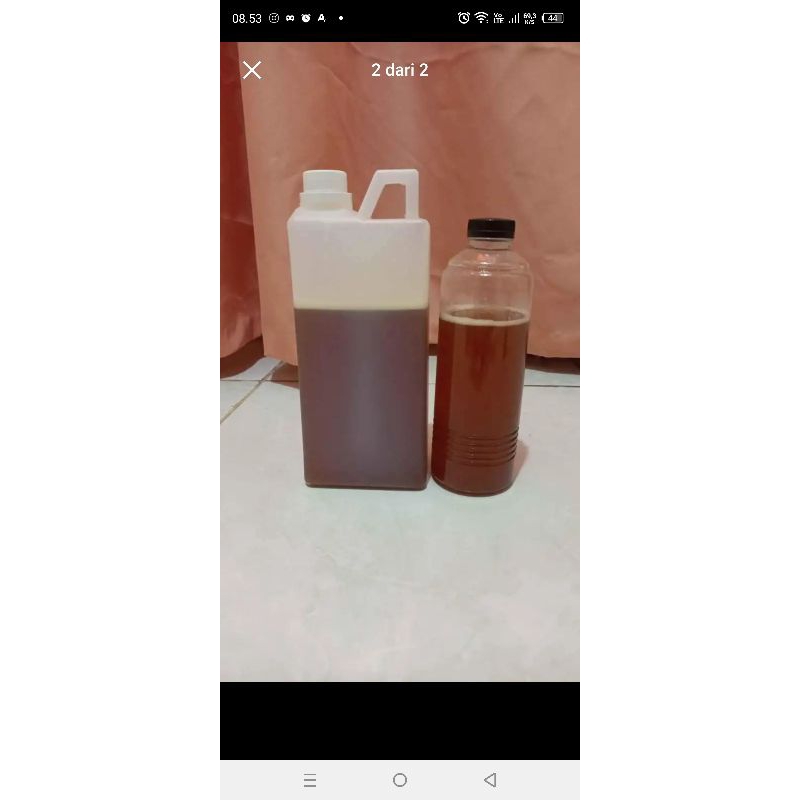 

Madu hutan liar(MADU LALAU) asli Kapuas hulu Kalimantan Barat