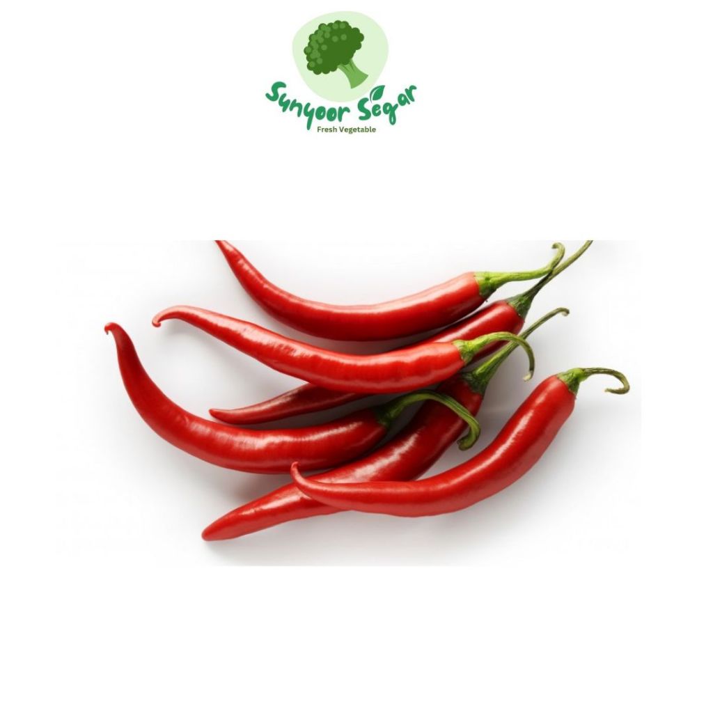

Cabai Merah Besar/ Cabe Teropong Merah 100, 250 gram