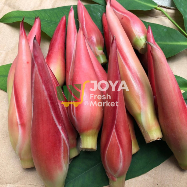

Joya Fresh - Kincung/Kecombrang Per Buah
