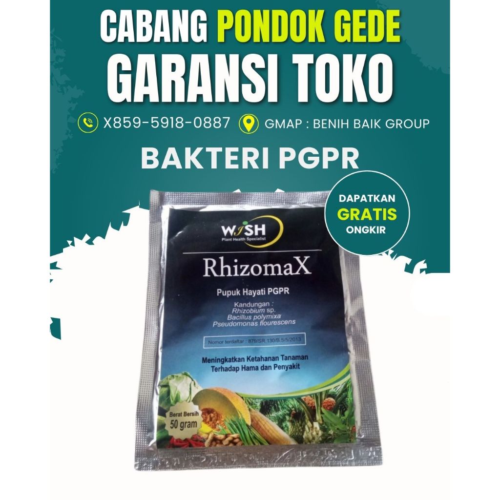 Rhizomax (Pupuk Hayati Pgpr) Grosir