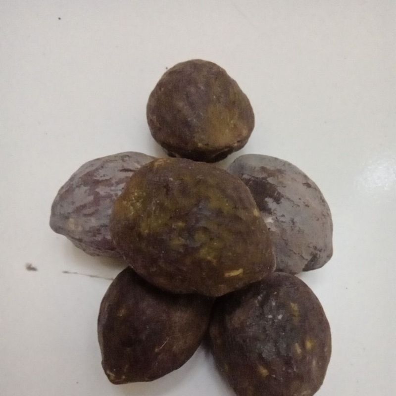 muncang adu jj jayanti jawa pemadam bulatan sortiran