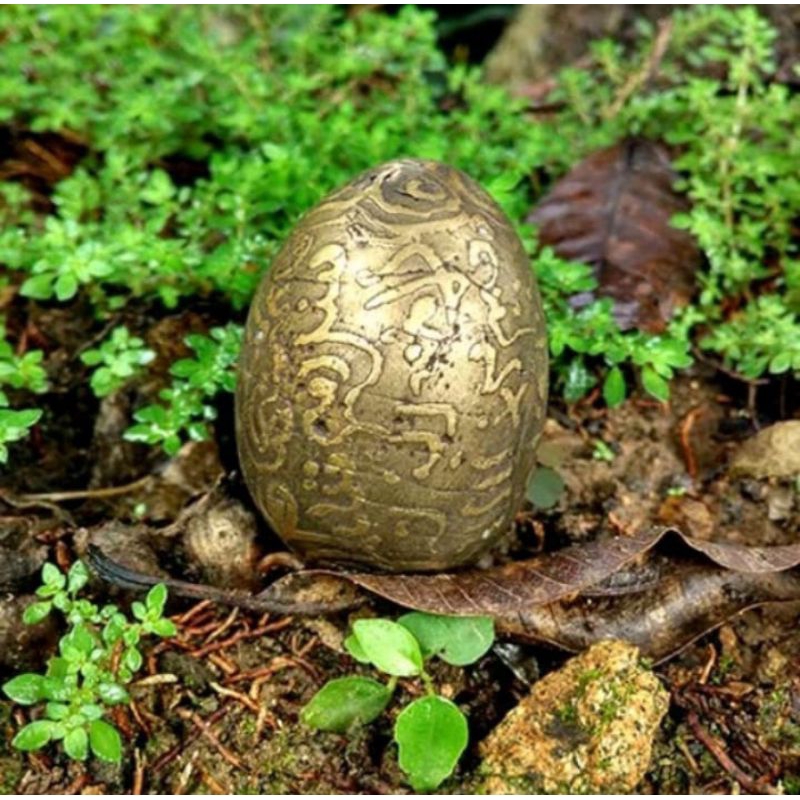 Harga Telur Rajah Terbaru Jul 2025 | BigGo Indonesia