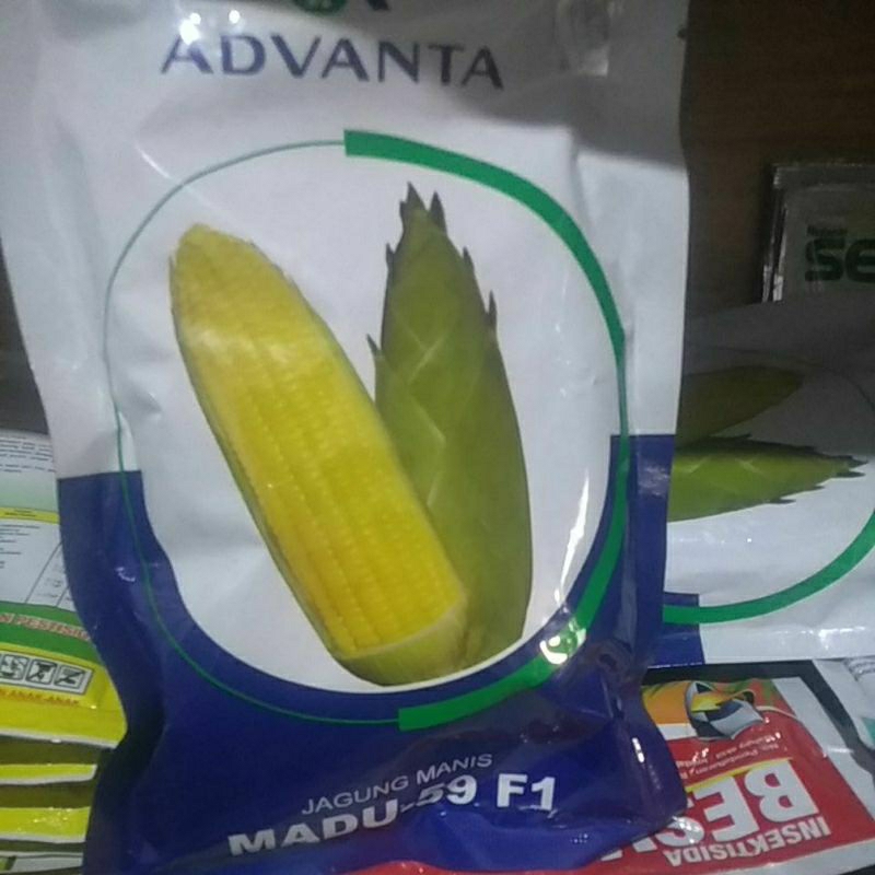 

jagung manis advance