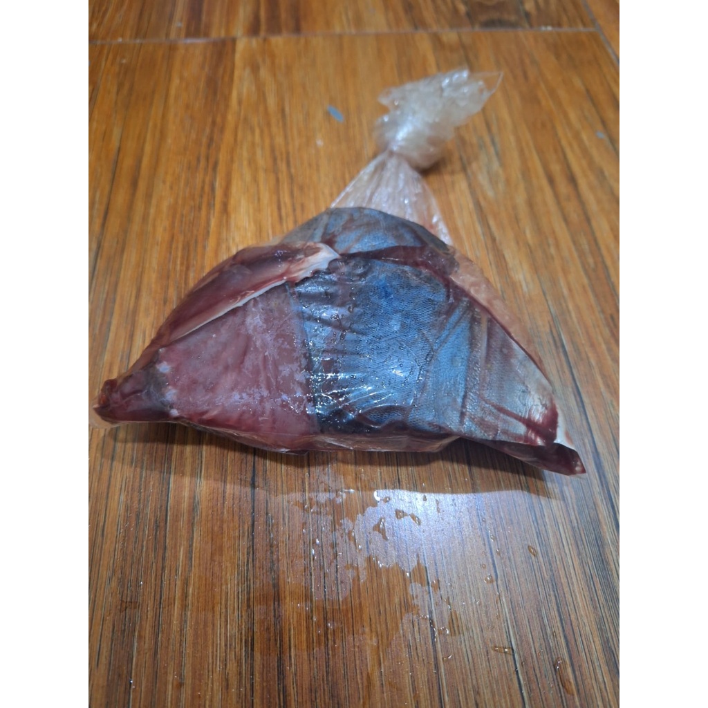 

Ikan Tongkol Potong Fresh Ikan Langsung Dari Nelayan