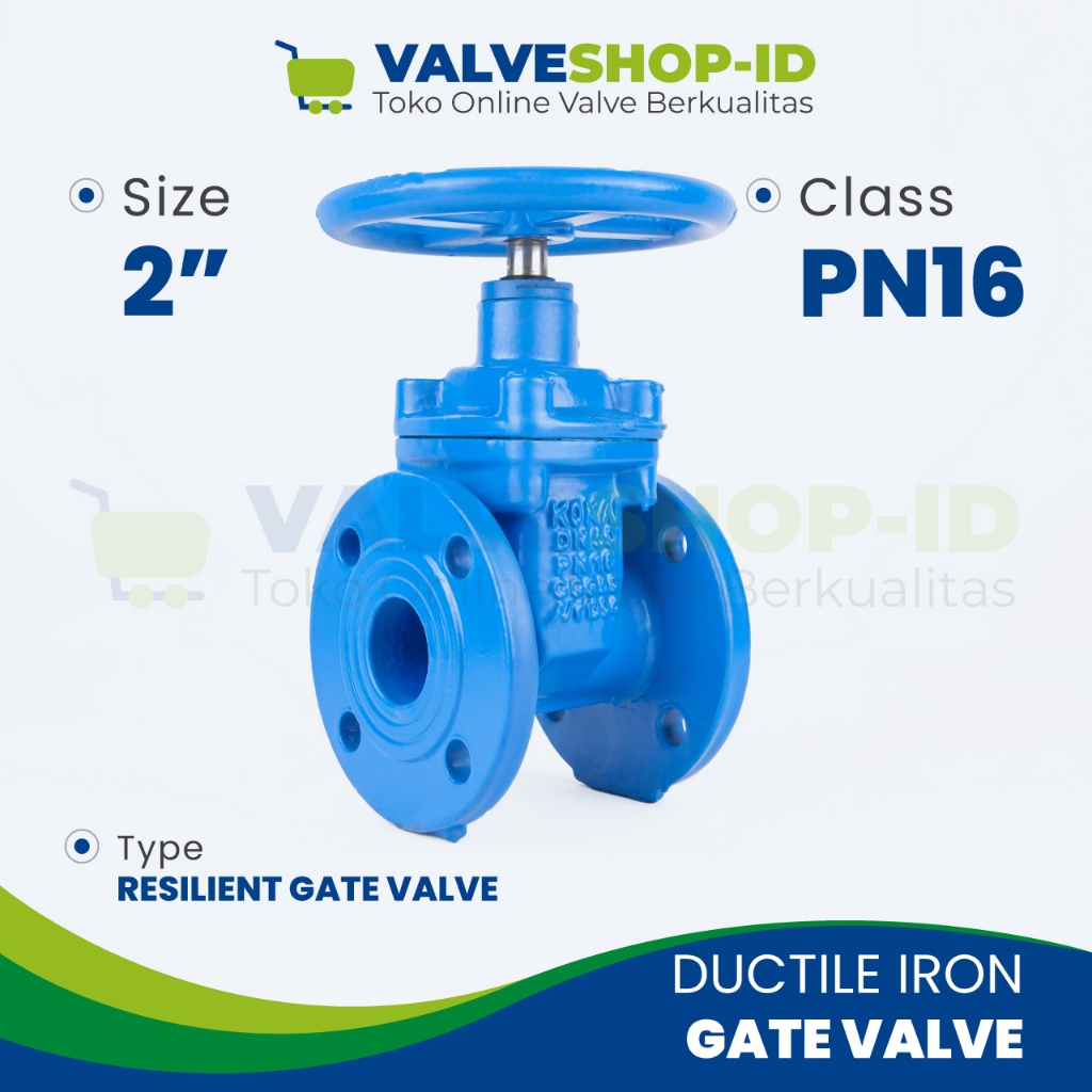 Resilient Gate Valve 2" Inch PN16 Ductile Iron GGG50