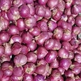 

BAWANG MERAH 1kg / 1000gram