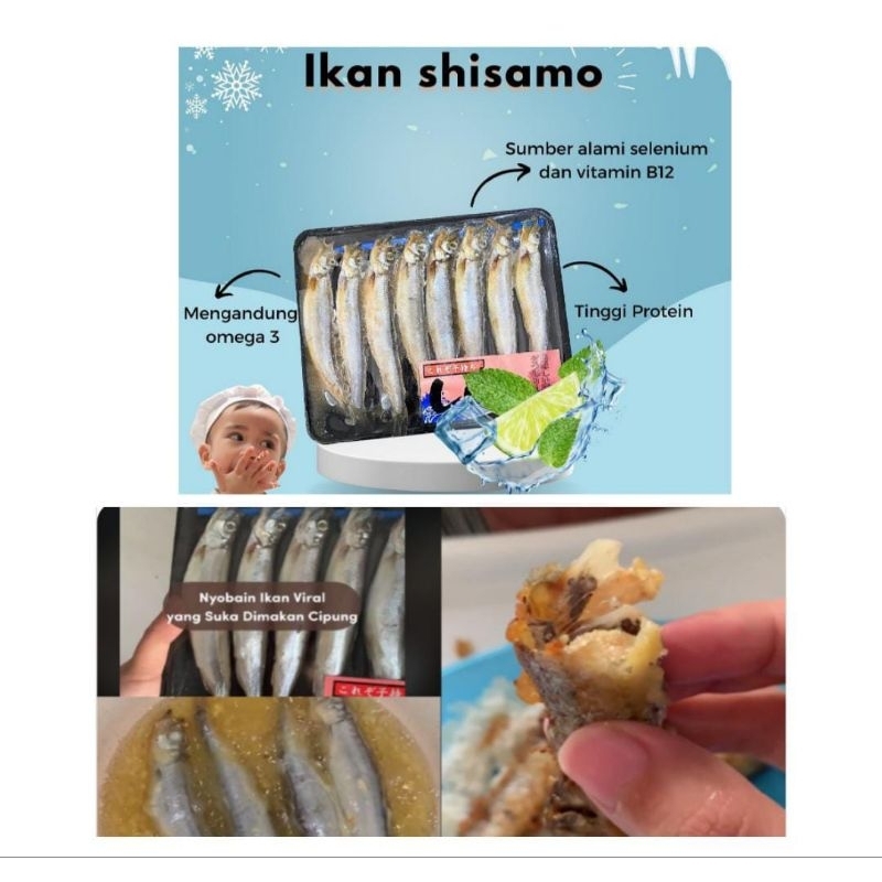 

[Frozen] Ikan Shisamo 170gram isi 8