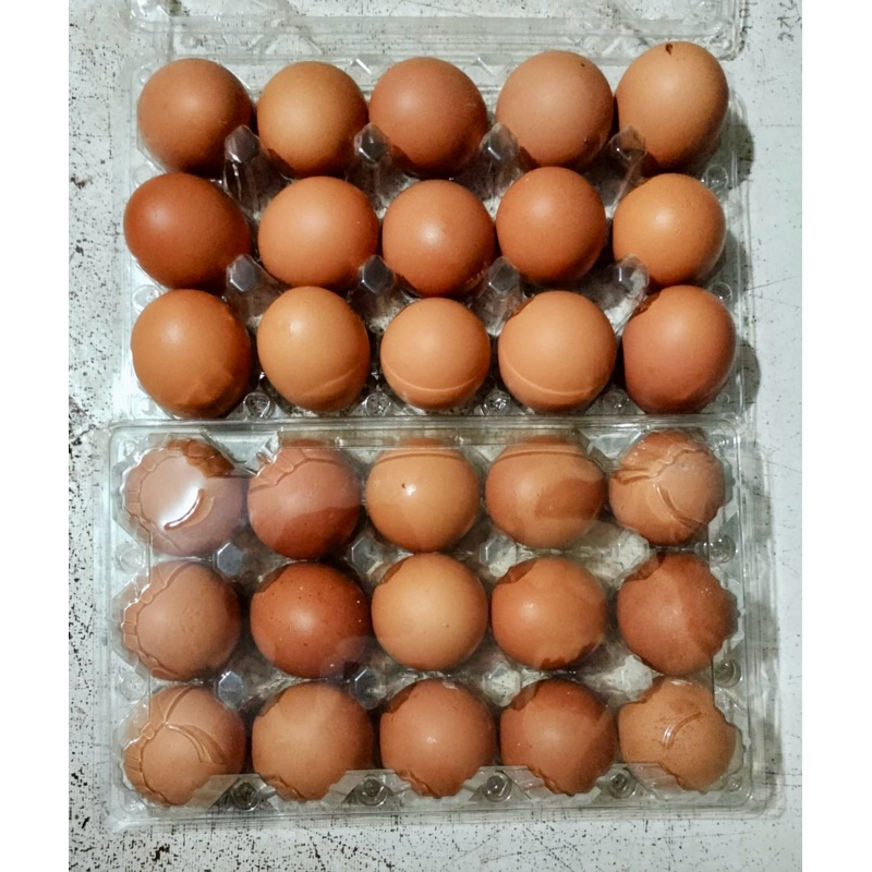 

[KHUSUS SAMEDAY] Telur FS coklat isi 15butir