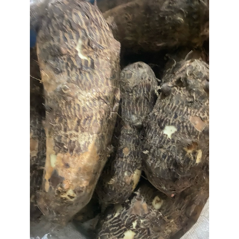 

ubi talas lompong enthek 1kg