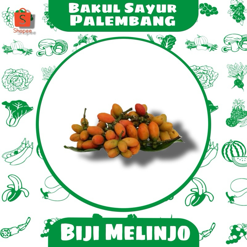 

Biji Melinjo 100g (PALEMBANG)