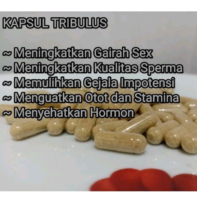 Kapsul Tribulus kuatkan otot