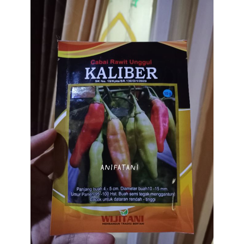 kaliber cabe rawit unggul