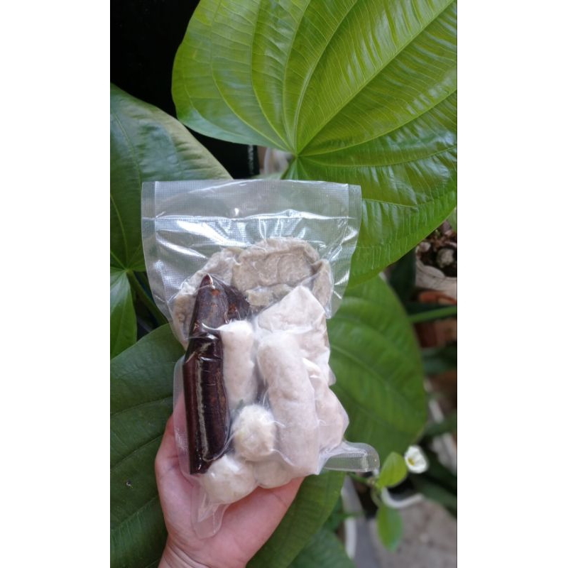 

PEMPEK KOMPLIT IKAN TENGGIRI.