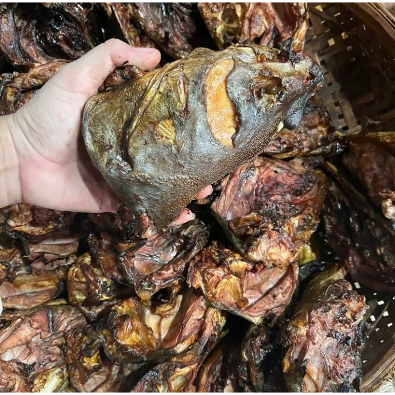 

KEPALA MANYUNG JUMBO FRESH