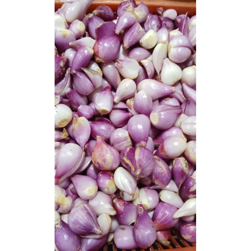 

bawang merah berebes kupas 500grm