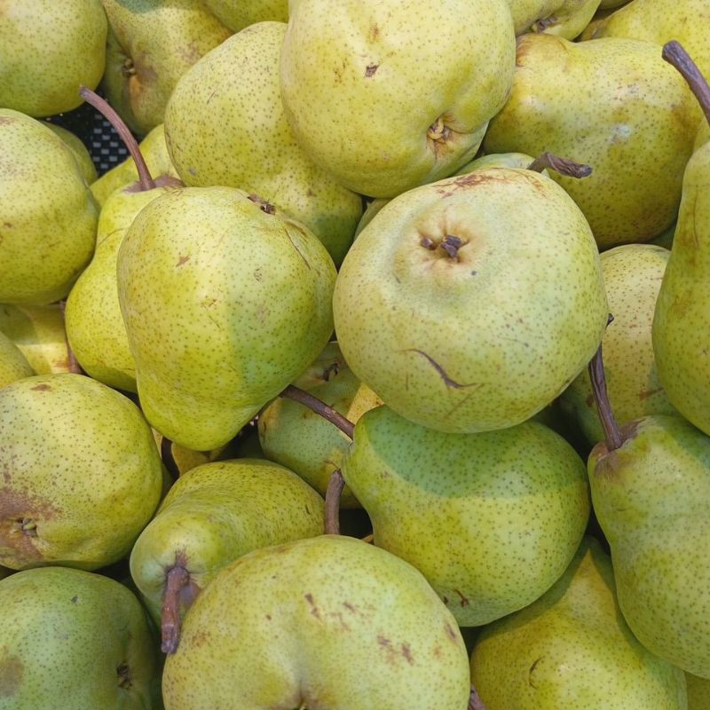 

Pir Packham Segar Pear Fresh 1kg