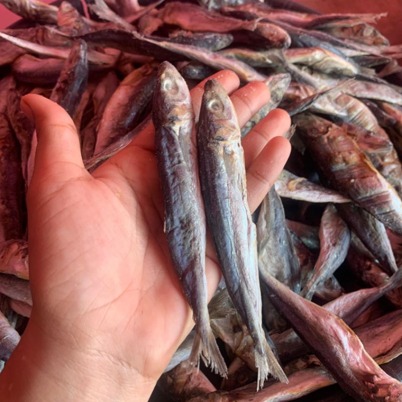 

READY 1KG PINDANG KERING/IKAN ASIN LAJANG