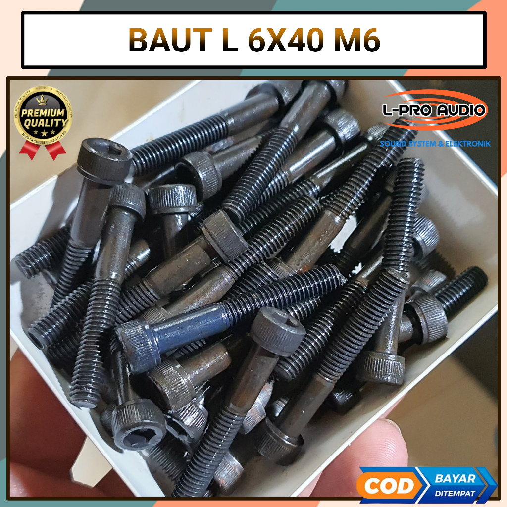 Baut L 6X40 baut speaker 18in M6