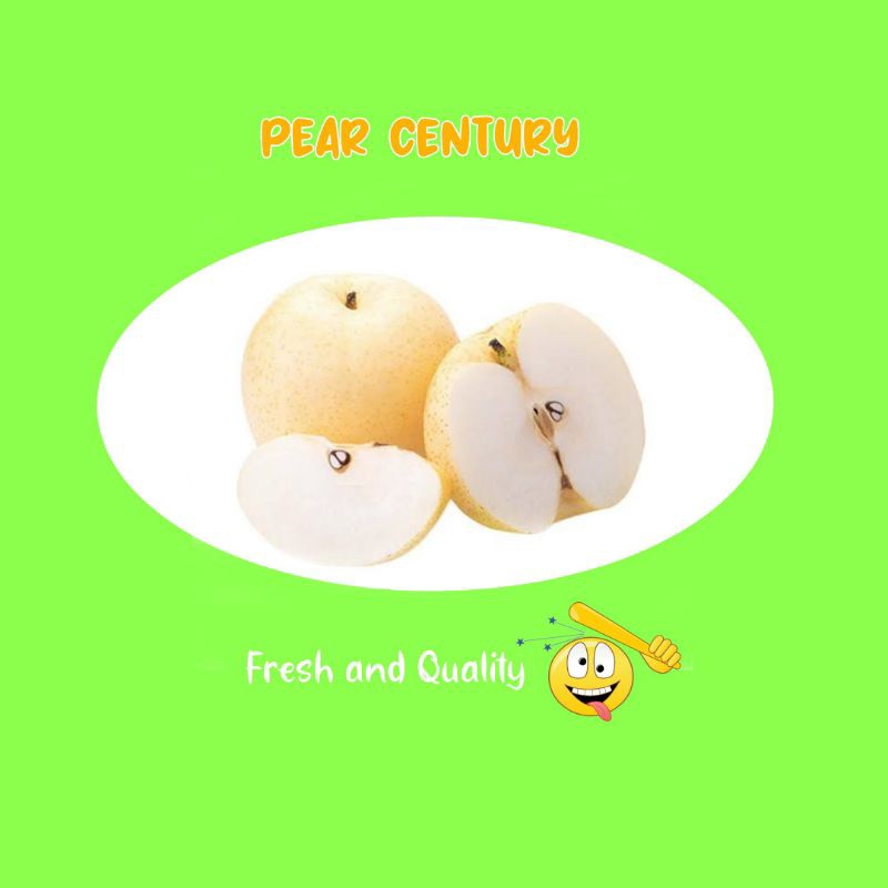 

BUAH PEAR CENTURY