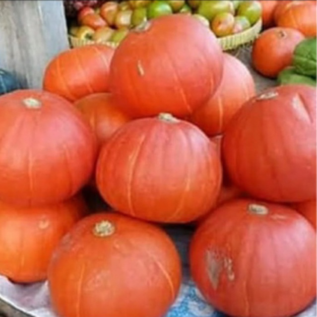 

Pumkin Labu untuk MPASI