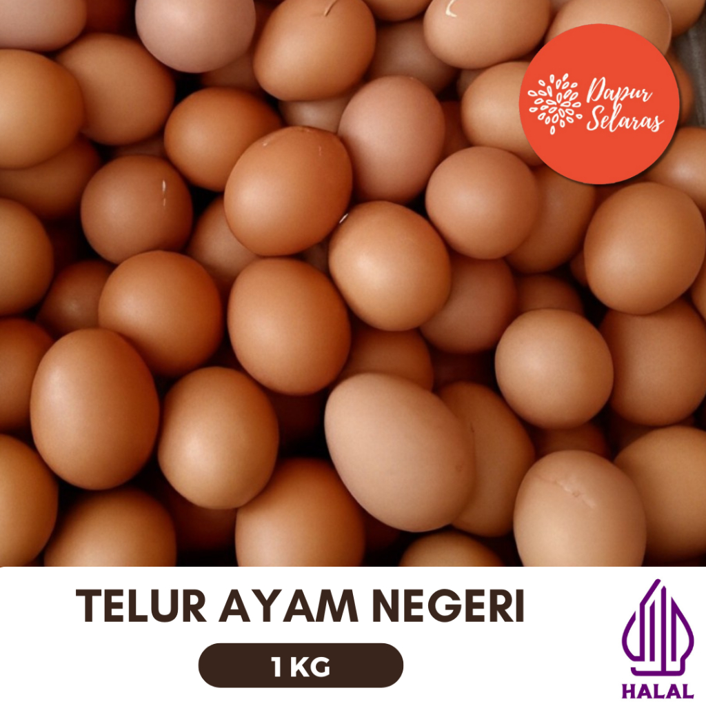 

Telur Ayam Negeri 1 Kilogram