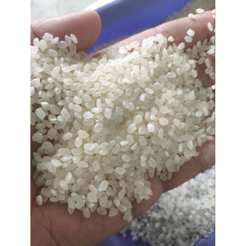 

Beras Japonica/Jepan/Sushi