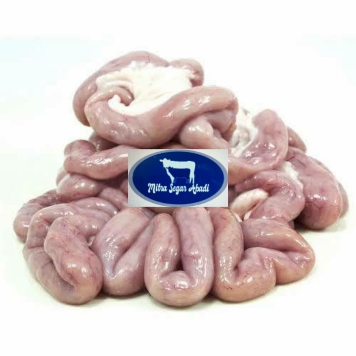

Usus sapi Mentah Frozen @1kg