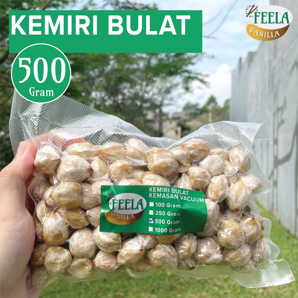 

Kemiri Bulat Utuh 500 Gram - 500gr - Biji Kemiri Fresh - Khas NTT