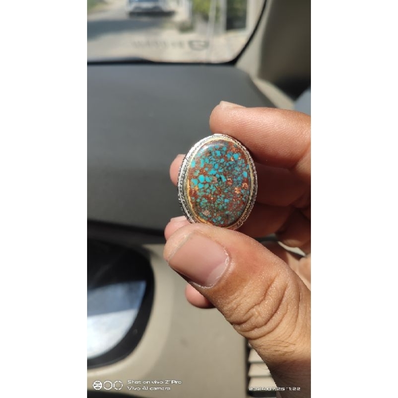 pirus persia biru urat merah kwalitas pilihan