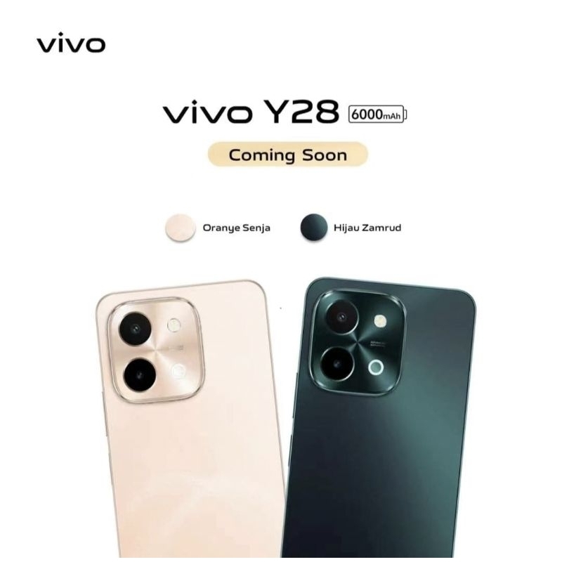 Vivo Y28 RAM 8/128