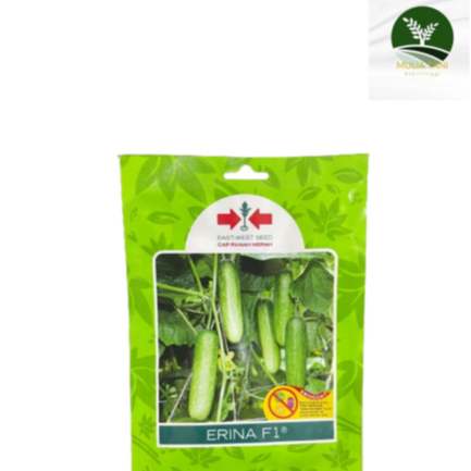 BIBIT TIMUN ERINA F1 BENIH UNGGUL