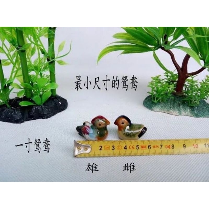 patung pajangan bebek mandarin