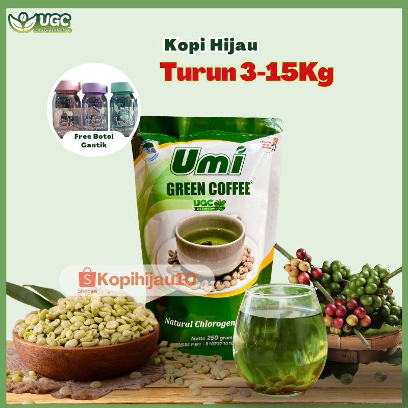 UMI GREEN COFFEE UGC KOPI HIJAU PELANGSING HERBAL