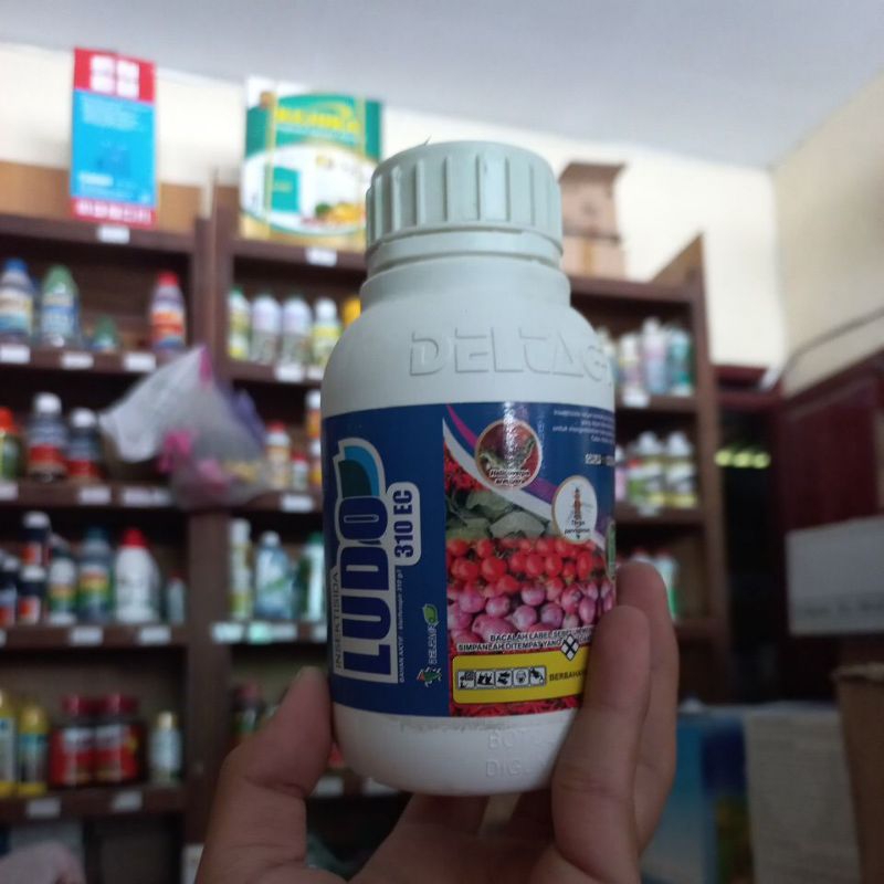 insektisida kontak LUDO 310 EC-200ml