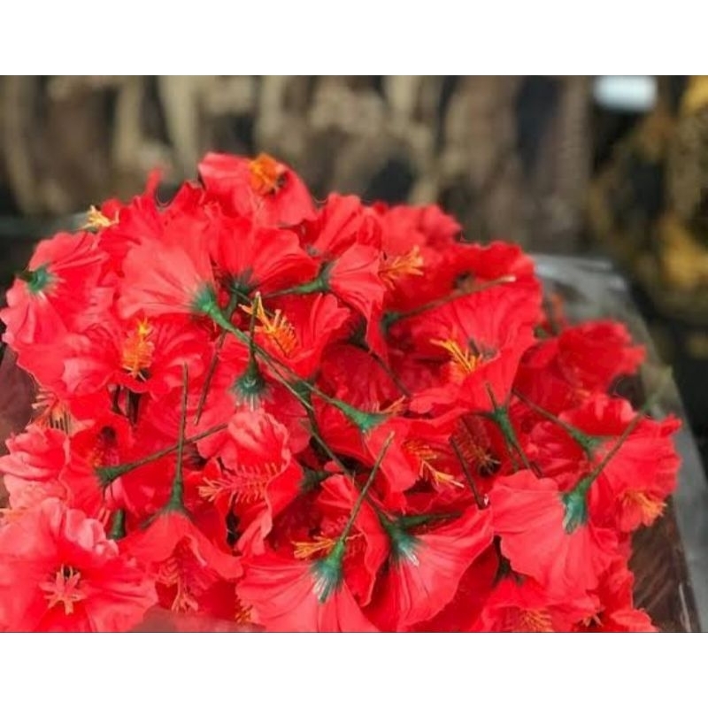 Bunga Pucuk Merah